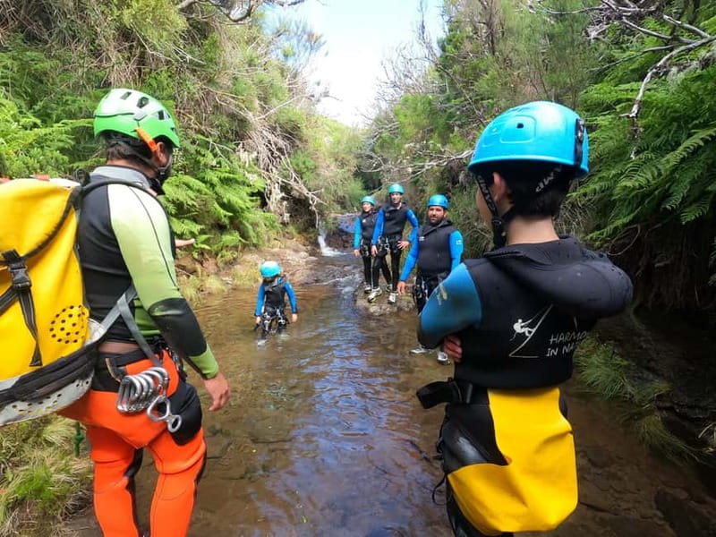 Madeira : Ribeira das Cales Canyoning (Level 1) - Why Ribeira das Cales Canyoning Feels Like Madeira Up Close