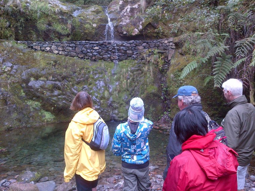 Madeira: Ribeiro Frio to Portela 4-Hour Guided Walk - What This Madeira Levada Walk Feels Like