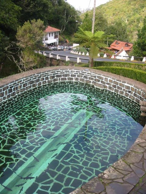 Madeira: Ribeiro Frio to Portela 4-Hour Guided Walk - From Hotel Pickup to Ribeiro Frio, Trout and Knitting Stalls