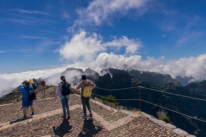 Madeira s highest Peaks - Birdlife spotting that feels like part of the hike