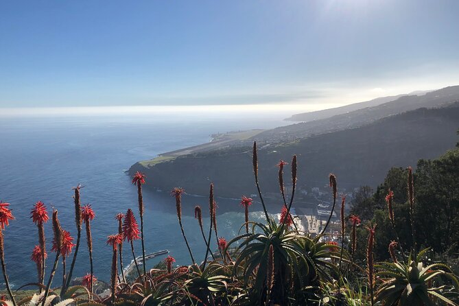Madeira Safari - East of the island - Faial and Porto da Cruz: traditional factories and markets on the route
