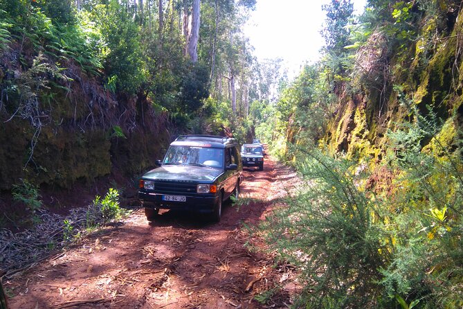 Madeira Safari - East of the island - The open-roof 4x4 ride: what to expect and how to enjoy it