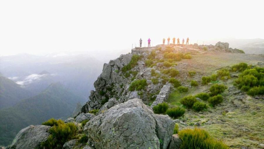 Madeira Safari Private 4x4, Full Day Santana or Porto Moniz - Value Check: Is $353 Per Group Worth It?