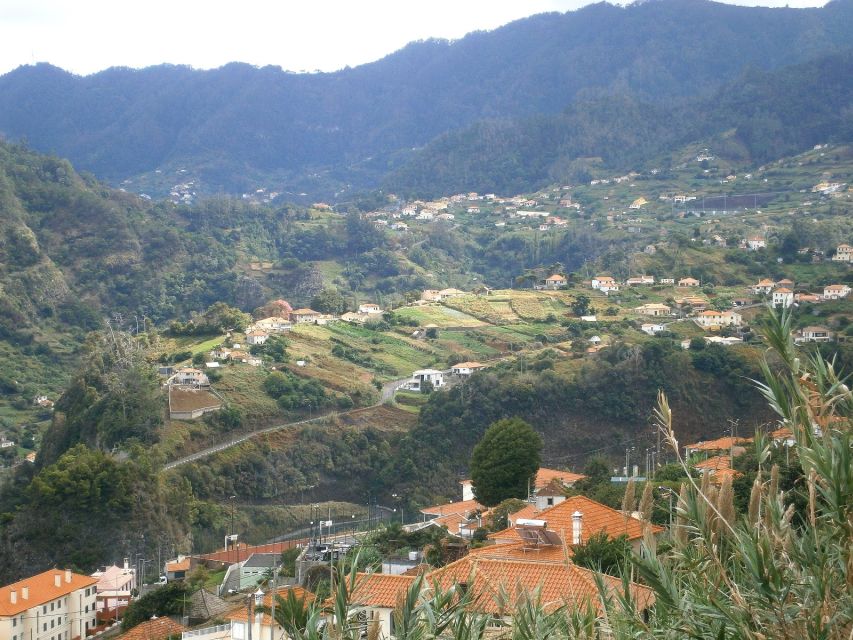 Madeira: Santana 6-Hour Full-Day Tour - Price and value: is $46 per person worth it?