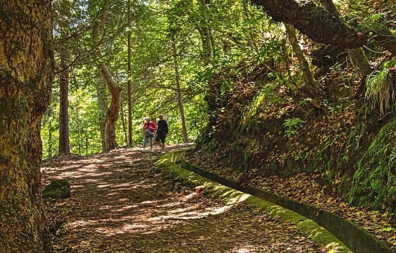 Madeira: Santana Jeep Safari and Balções Levada Walk - The jeep portion through Cova da Roda: fun terrain, short and sweet