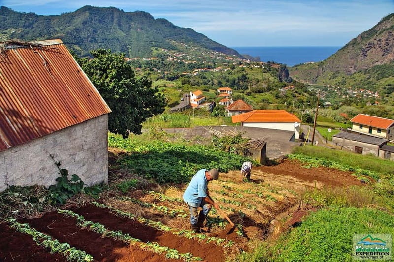 Madeira: Santana Jeep Safari and Balções Levada Walk - Santana: thatched triangular roofs and time to actually enjoy the village