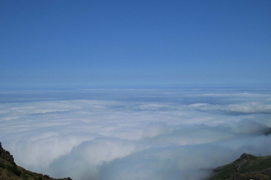 Madeira : Santana & Peaks full day tour by Open 4x4 - Lunch, local flavors, and how optional meals fit the day