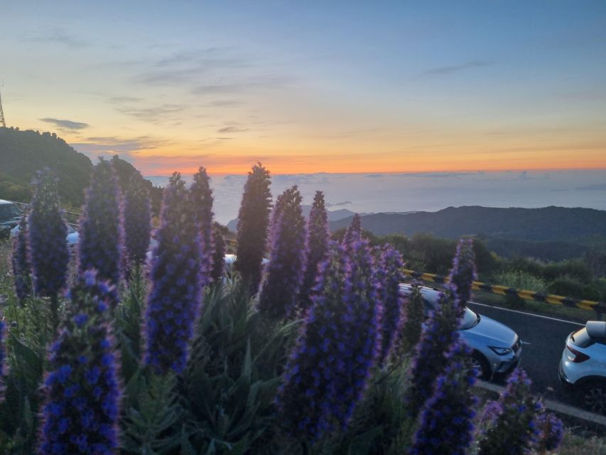 Madeira : Santana, Pico Arieiro, walk full day 4x4 Jeep tour - Ribeiro Frio and the optional 45-minute hike you can actually enjoy