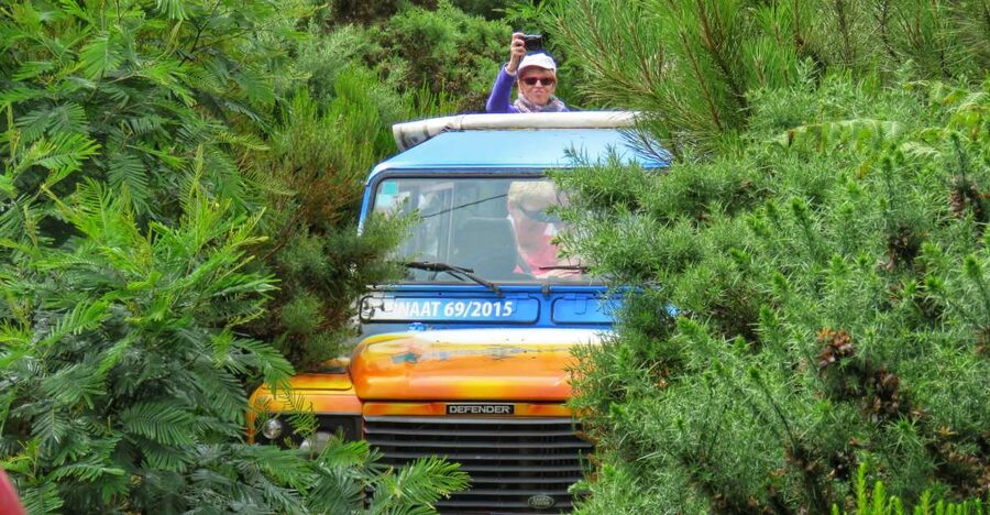 Madeira : Santo de Serra Local Farmers' Market half day trip - Santo da Serra Farmers Market: What You Should Actually Look For
