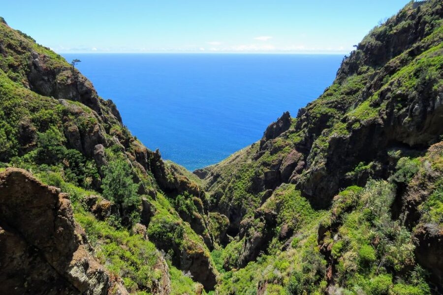 Madeira : Santo de Serra Local Farmers' Market half day trip - Christ the King Viewpoint and Santa Cruz: Small Stops, Big Payoff