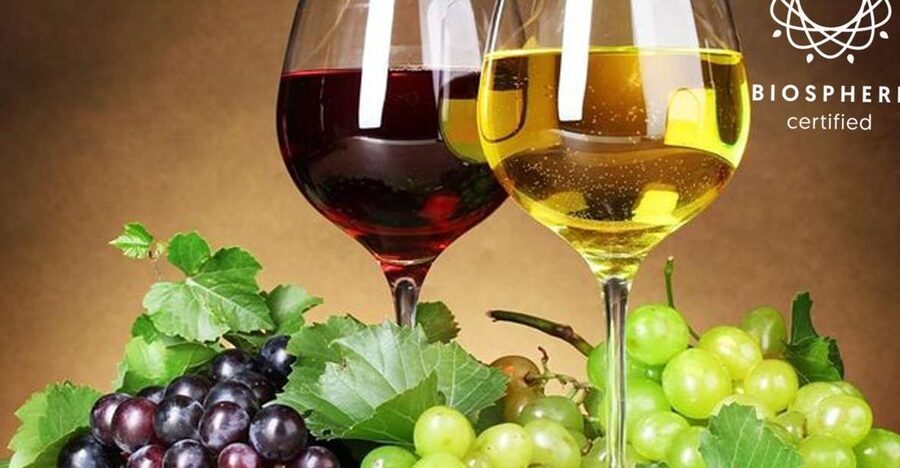 Madeira: Signature Wine Tasting, Skywalk & Nature Expedition - Key highlights worth planning for