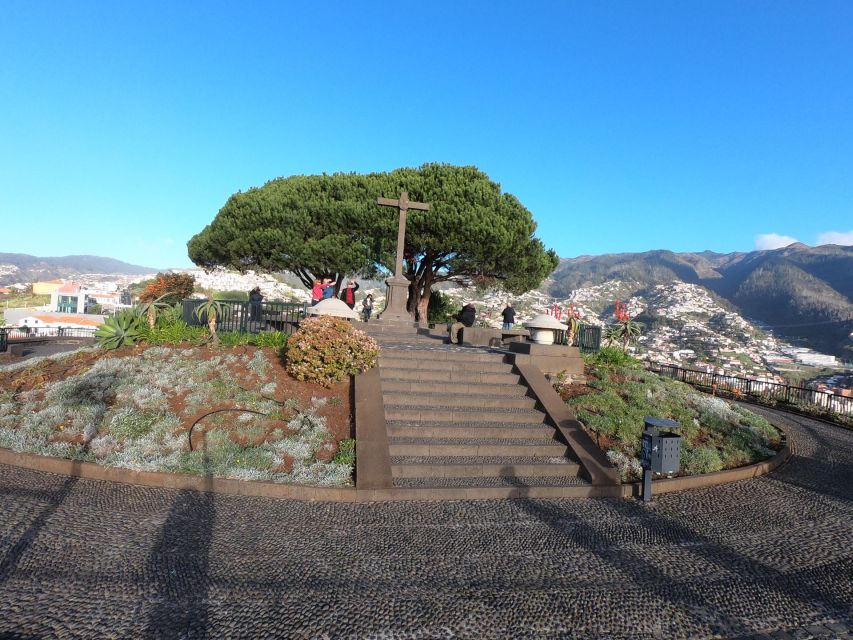 Madeira: Signature Wine Tasting, Skywalk & Nature Expedition - Price and value: is $104 a good deal for this mix?