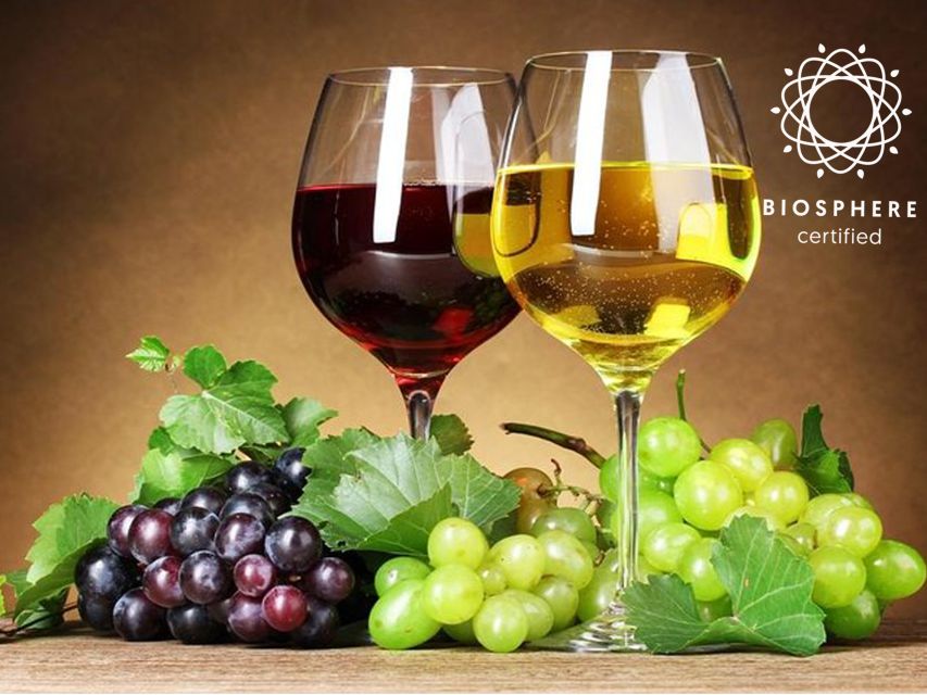 Madeira: Signature Wine Tasting, Skywalk & Nature Expedition - São Vicente lunch break, then you head for Skywalk at Cabo Girão