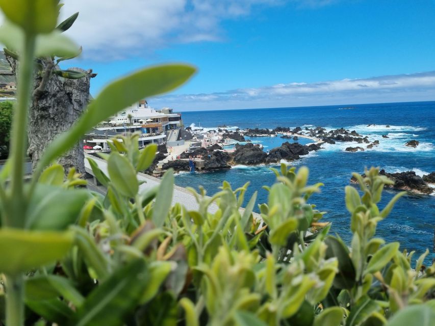 Madeira : SkyWalk, Fanal, Natural Pools 4x4 Jeep Tour - Campanário and Ponta do Sol: viewpoints that set your day’s pace