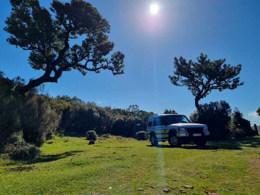 Madeira : SkyWalk, Fanal, Natural Pools 4x4 Jeep Tour - Fanal Pond: the century-old trees walk (and the small surprises)
