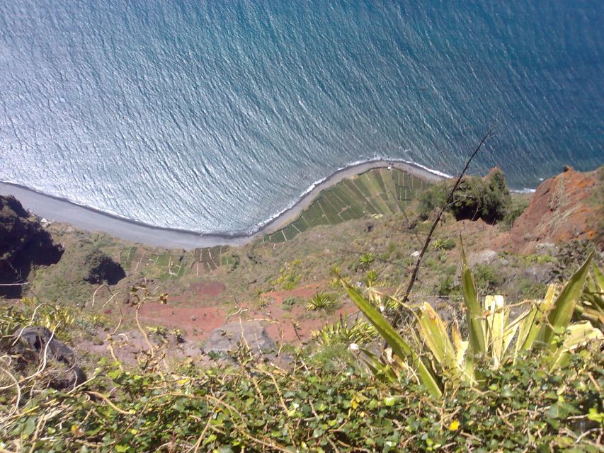 Madeira South West: Half Day Private Tour - Key reasons this half-day tour works