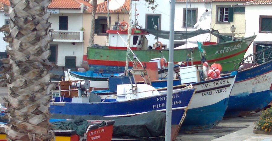 Madeira South West: Half Day Private Tour - The guide and driver are the difference maker