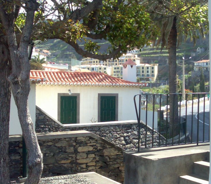 Madeira South West: Half Day Private Tour - Pickup, pace, and the logistics that matter