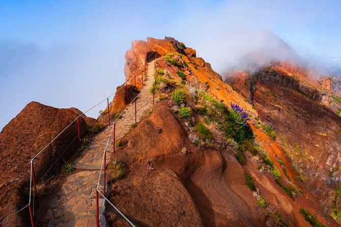 Madeira Stairway to Heaven to Larano Hike Mountain to Sea - Key things to know before you lace up