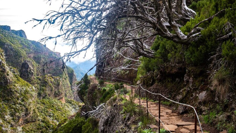 Madeira Stairway to Heaven to Larano Hike Mountain to Sea - Weather rules: the island is unpredictable, so stay flexible