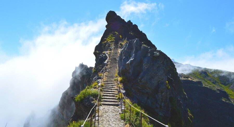 Madeira Stairway to Heaven to Larano Hike Mountain to Sea - Transportation, timing, and meeting points in real life