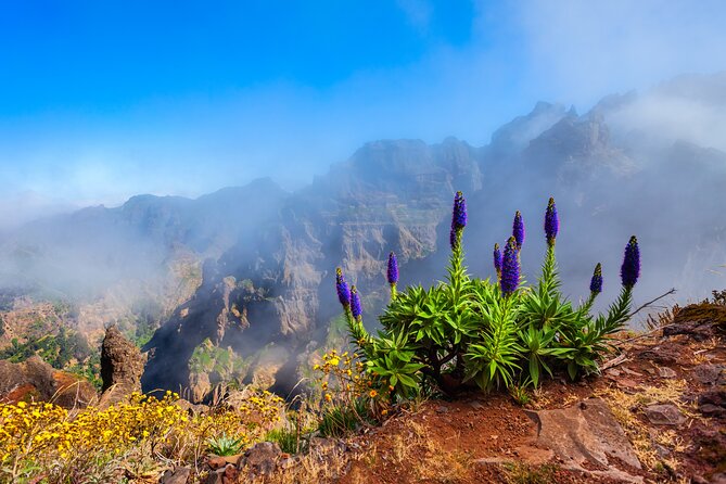 Madeira Stairway to Heaven to Larano Hike Mountain to Sea - Pico Areeiro and the Stairway to Heaven hike you actually have time for