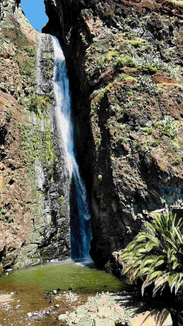 Madeira: Sunny South Side - Cabo Girão, Waterfalls, C. Lobos - What You Actually Get Included for the Price