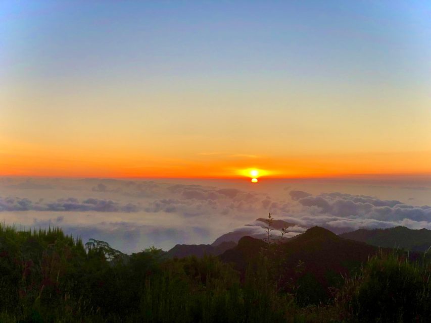 Madeira: Sunrise at Pico do Arieiro & Hike Larano trail - Price and logistics: does $45 really make sense for what you get?