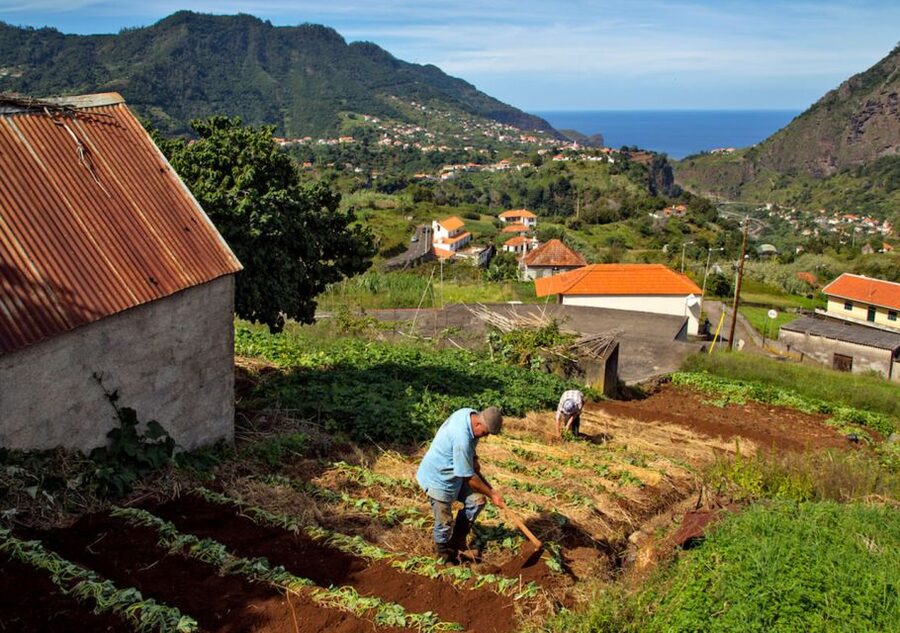Madeira: The Best of South Jeep Tour - Ponta do Pargo, Madeira: The Island’s Western Edge