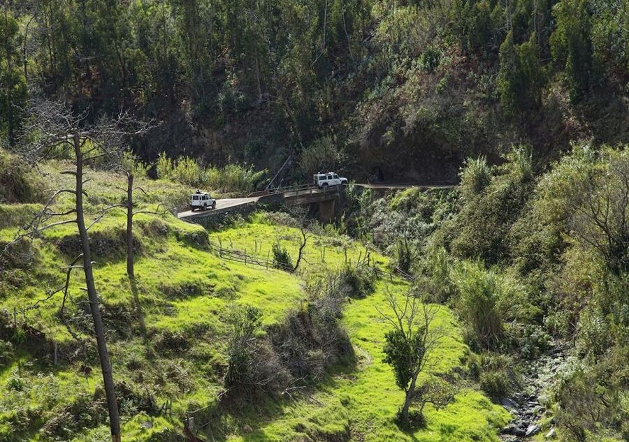 Madeira: The Best of South Jeep Tour - Where Santana and Ponta de São Lourenço Fit In