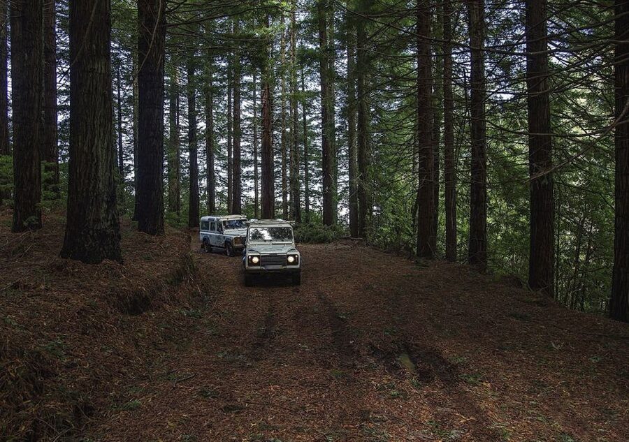 Madeira: The Enchanting North - Ribeiro Frio: a final photo stop before you head back