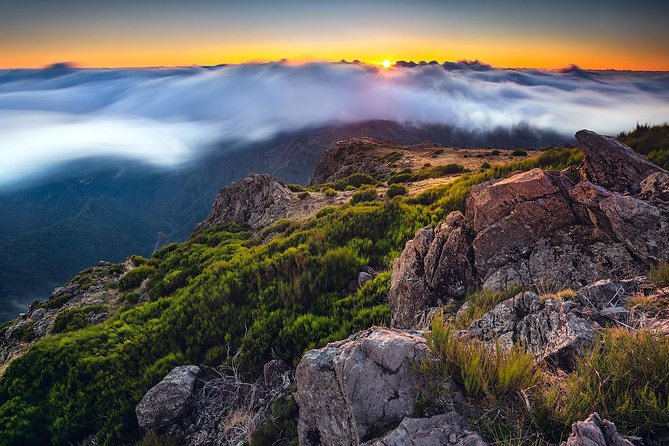 Madeira Top Sunrise - Carlos and the Tiny-Group Pace That Makes This Work
