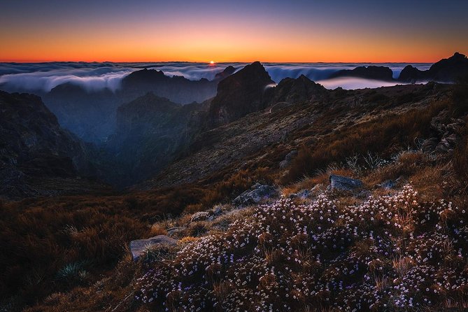 Madeira Top Sunrise - Getting Picked Up in Funchal and Caniço (and Timing Tips)