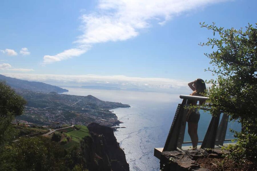 Madeira - Vineyard Tour Wine Tasting - Included - Key highlights at a glance