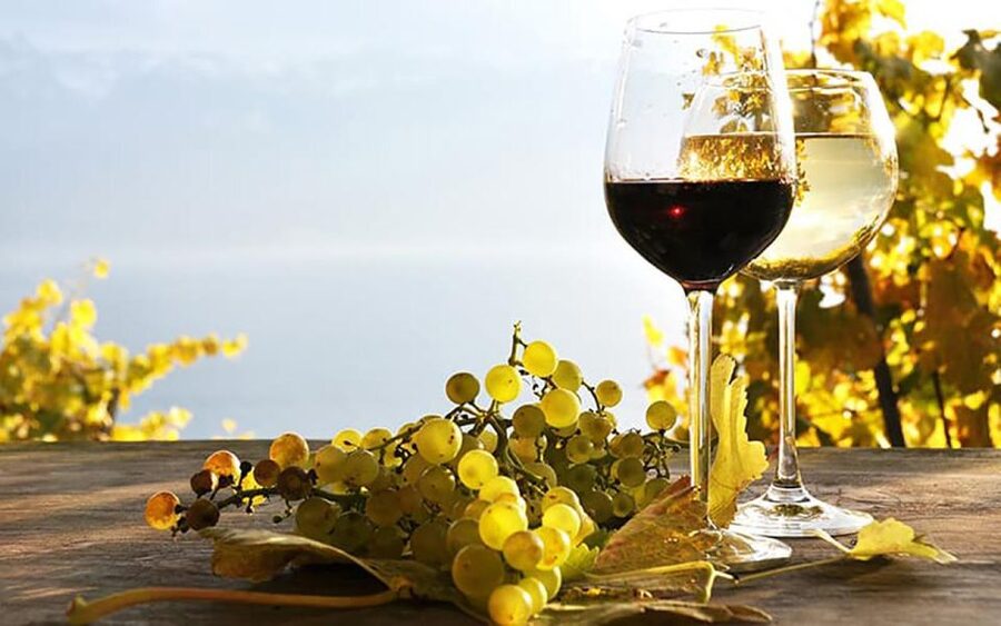 Madeira - Vineyard Tour Wine Tasting - Included - São Vicente wine time: guided tour plus tasting