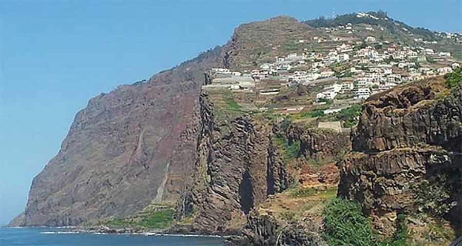 Madeira - Vineyard Tour Wine Tasting - Included - The vineyard experience: meeting the producer and tasting with purpose
