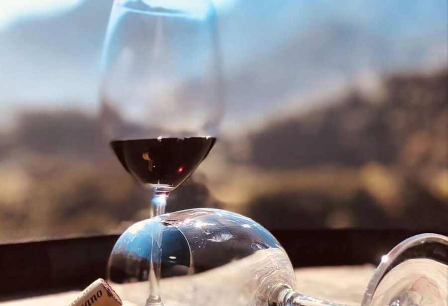 Madeira - Vineyard Tour Wine Tasting - Included - Price and value: what $85 includes, and why it can be worth it