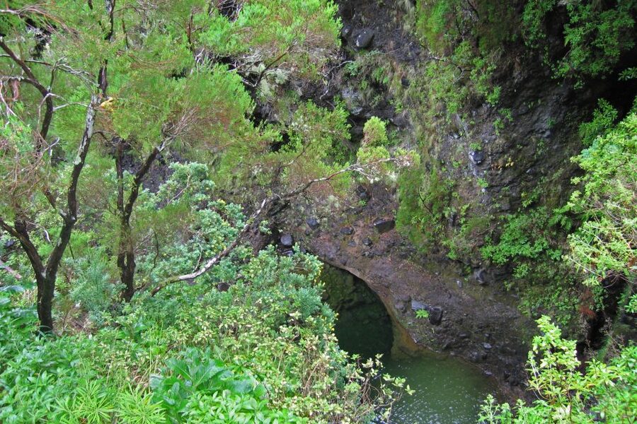 Madeira Walks - Rabaçal and the 25 Fountains - FAQ