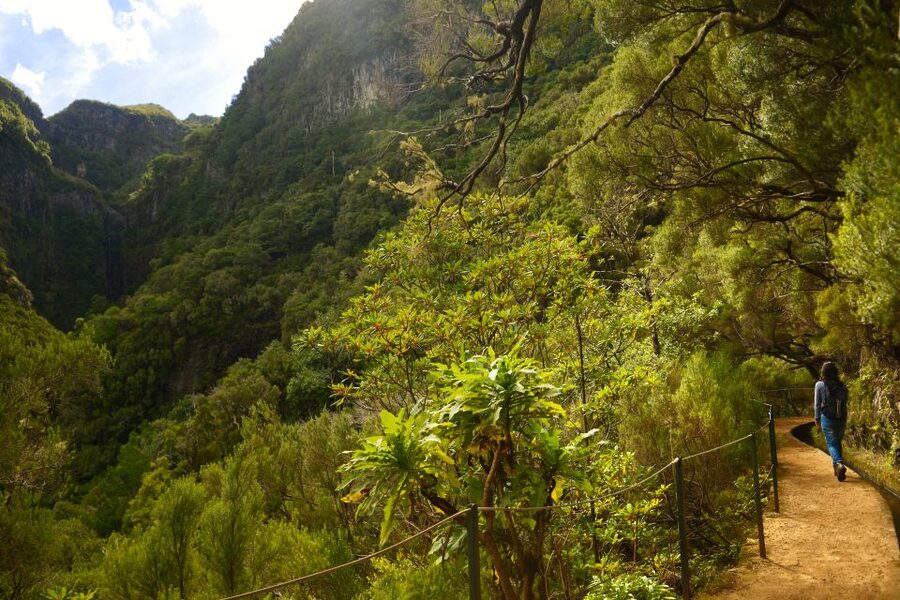 Madeira Walks - Rabaçal and the 25 Fountains - Entering Rabaçal: how the trail sets up the 25 Fountains moment