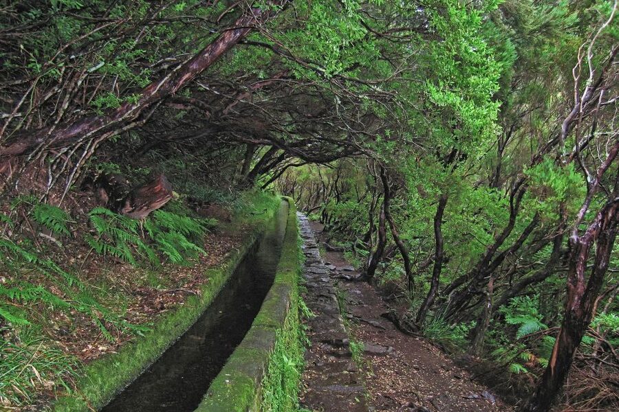 Madeira Walks - Rabaçal and the 25 Fountains - Lunch and what to carry: you are responsible for the basics