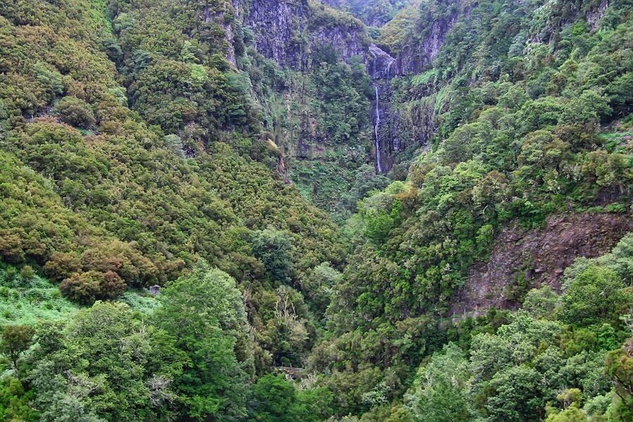 Madeira Walks - Rabaçal and the 25 Fountains - Price and value: $50 for a guided day that stays on the right side of safety