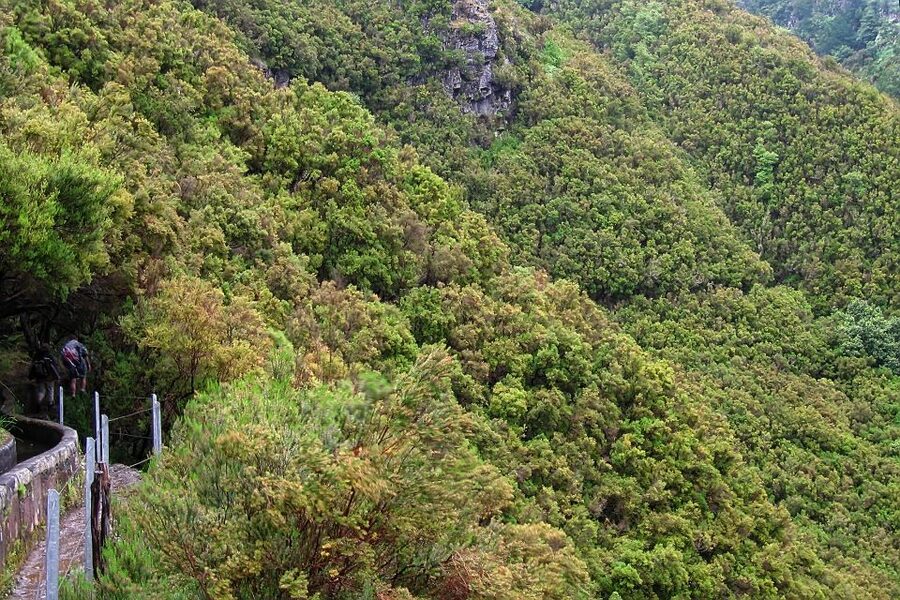 Madeira Walks - Rabaçal and the 25 Fountains - Should you book the Rabaçal and 25 Fountains hike?