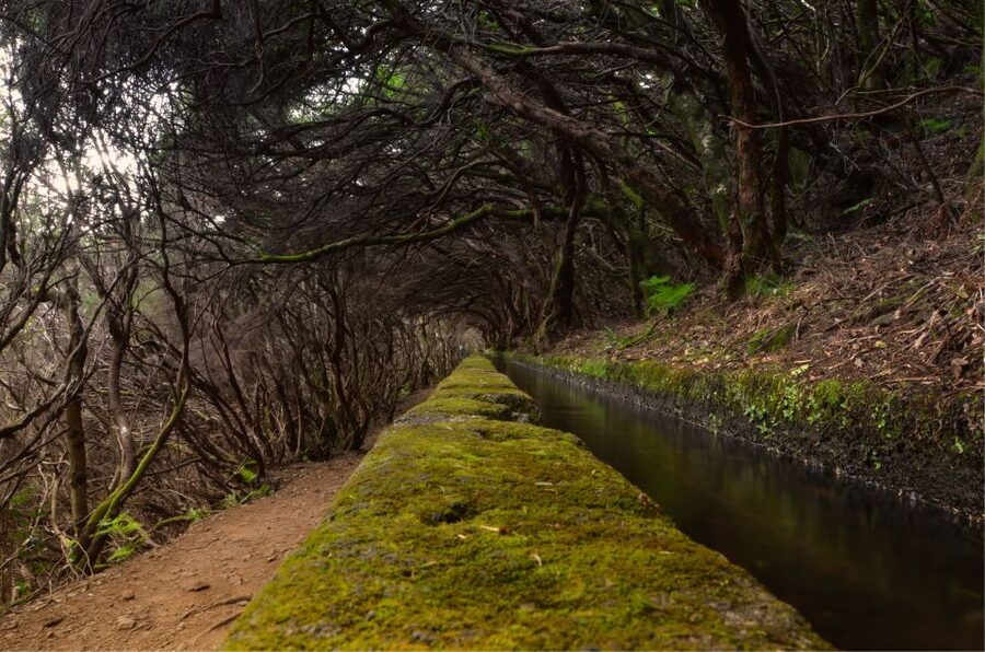 Madeira Walks - Rabaçal and the 25 Fountains - The two café stops: short breaks that keep the hike enjoyable