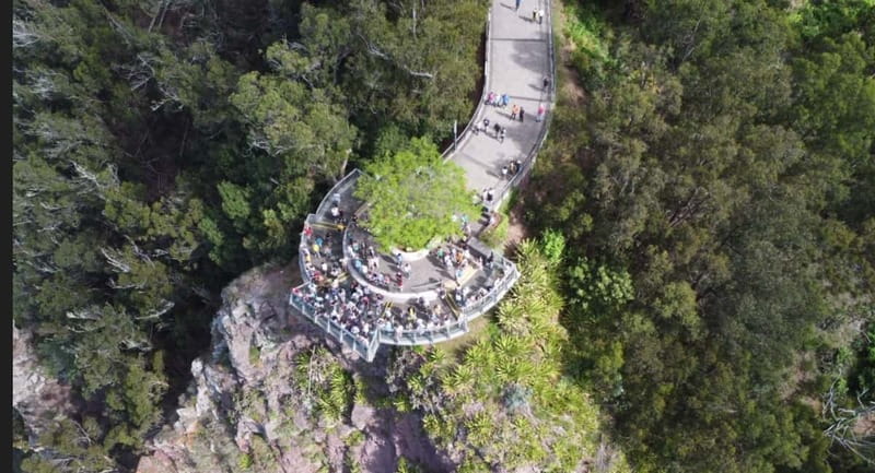 Madeira: West and East Madeira Top Highlights Tour - Quick practical tips before you go