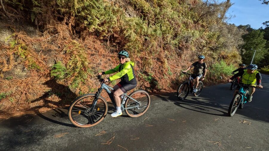 Madeira West coast: Guided Sightseeing E-Bike Tour - Lombada dos Marinheiros: Levada Views and Old Terraces