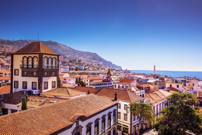 Madeira West Island Full Day Small-Group Tour from Funchal - Ribeira Brava’s Deep Valley Setting in a 30-Minute Window
