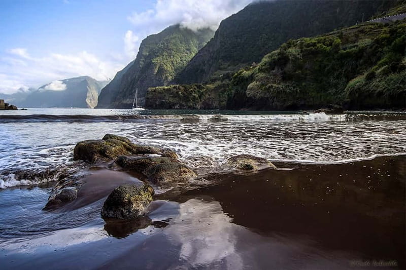 Madeira West Island Full-Day Tour with Fanal Forest - Why This West Madeira Day Works So Well