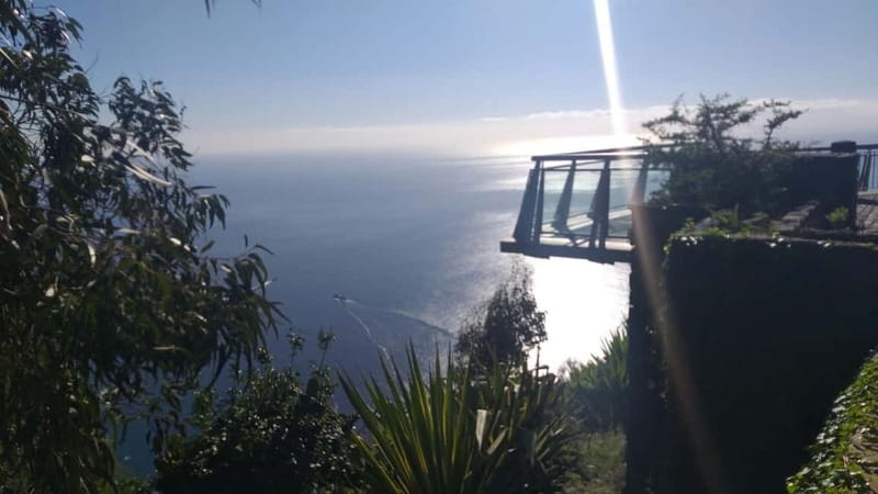 Madeira West Island Full-Day Tour with Fanal Forest - Ribeira Brava, Ponta do Sol, and Why These Small Town Stops Matter