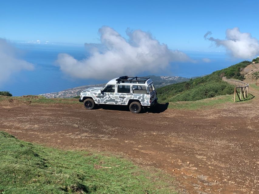 Madeira West Safari - The natural lava pools of Porto Moniz - Fanal Forest, where the trees do the talking