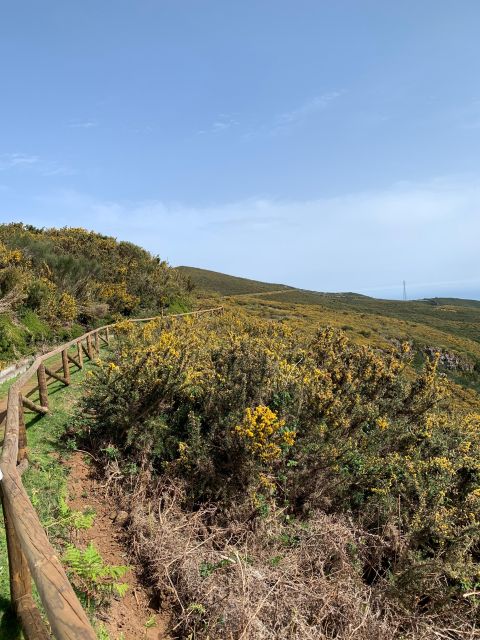 Madeira West Safari - The natural lava pools of Porto Moniz - Four waterfalls and Seixal black sand, the return route that makes the day feel complete